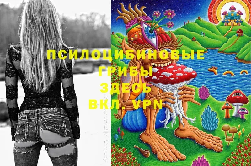 Псилоцибиновые грибы Psilocybe  Фролово 